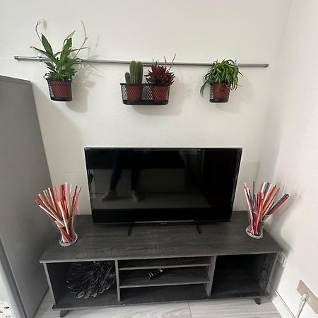B&B Luna Rosa Pisa Buitenkant foto