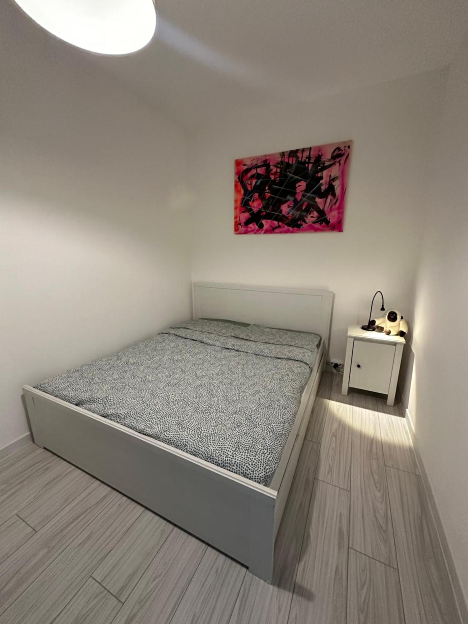 B&B Luna Rosa Pisa Buitenkant foto